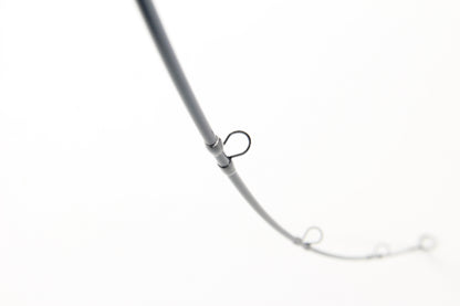 NANOFLY